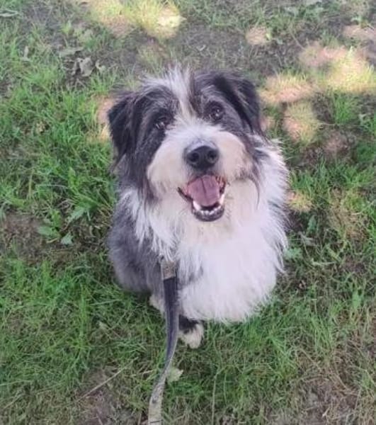 GULLIVER - aktiv & neugierig-