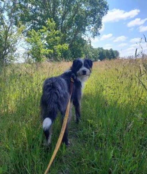 GULLIVER - aktiv & neugierig-