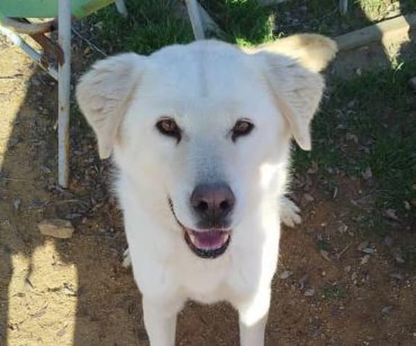 MARLON - hofft auf eine eigene Familie