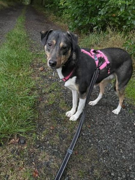 Merve  hochsensibel und besonders