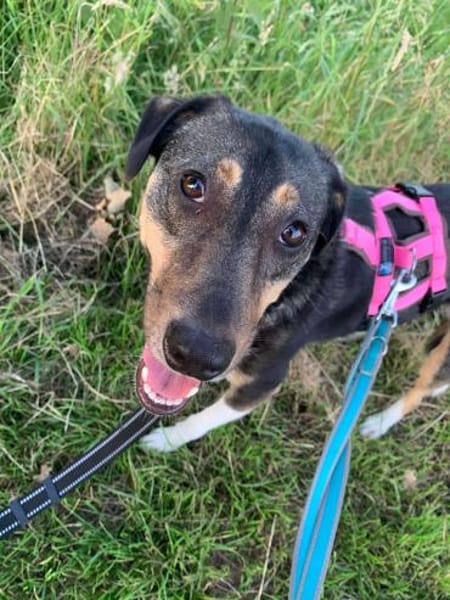 Merve  hochsensibel und besonders