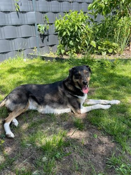 Merve  hochsensibel und besonders