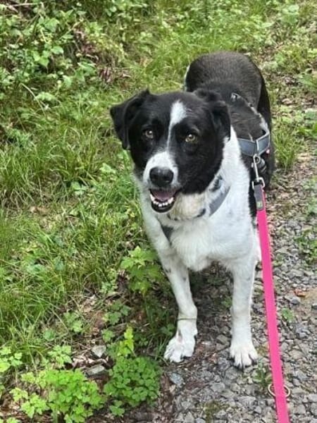 HERA -Sanfte, neugierige Seele-