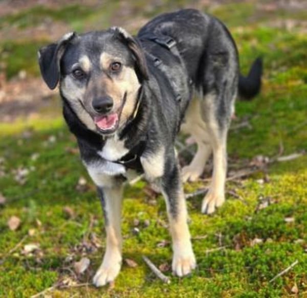 Leika wartet in Bayern auf ihre Chance!