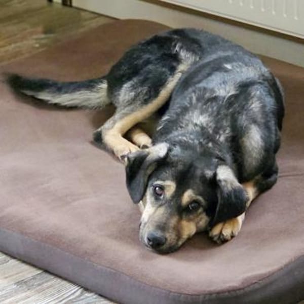 Leika wartet in Bayern auf ihre Chance!