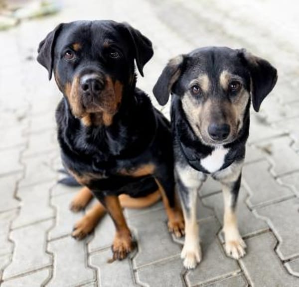 Leika wartet in Bayern auf ihre Chance!