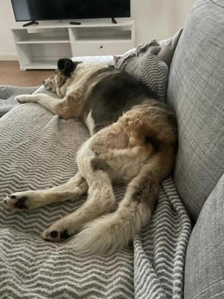 SMARTIE * ruhiger Typ s Vertrauensmensch