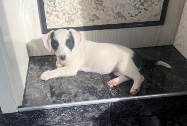 Lilo sehr lieb und freundlich