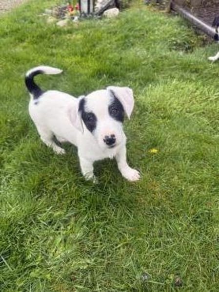 Lilo sehr lieb und freundlich