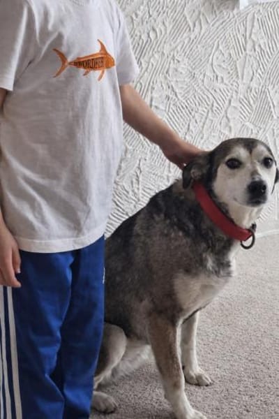 charmante Finja sucht Für-immer-Zuhause