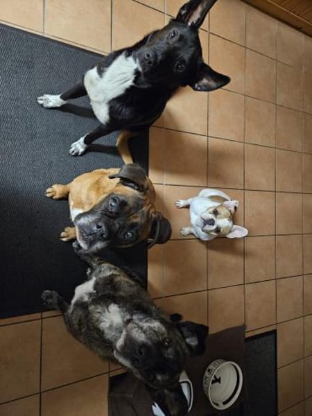 ❤Lucky -Gentleman im schwarzen Frack