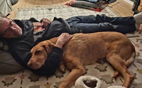 Menschenbezogener Ricky sucht Zuhause