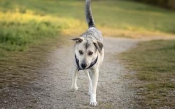 Lee sucht seine Menschen