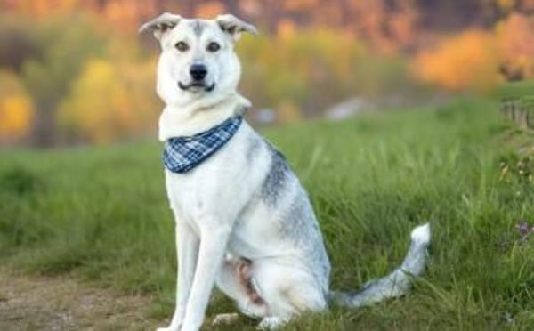 Lee sucht seine Menschen