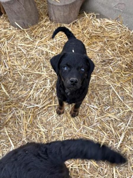 Kleiner Beobachter- Sky