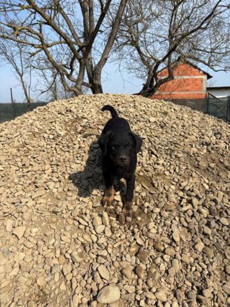 Kleiner Beobachter- Sky