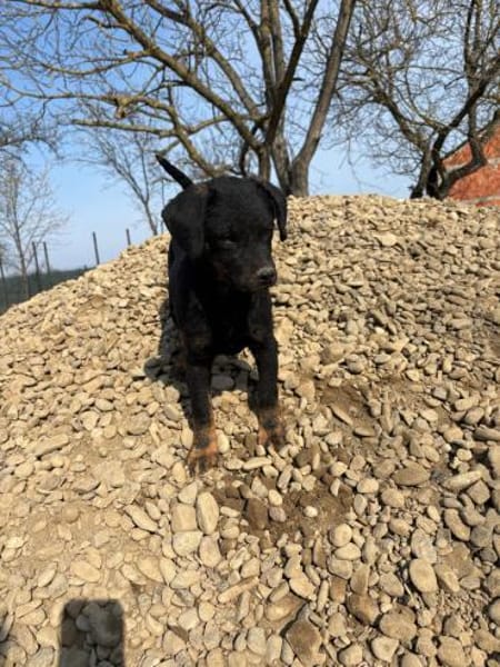 Kleiner Beobachter- Sky