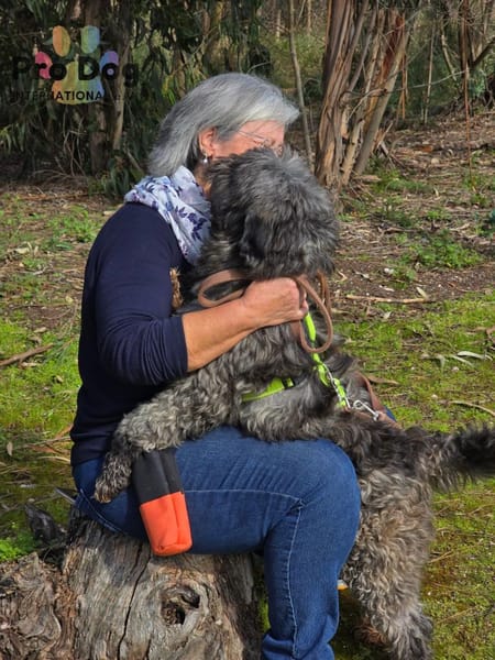 Jaime auf Pflegestelle