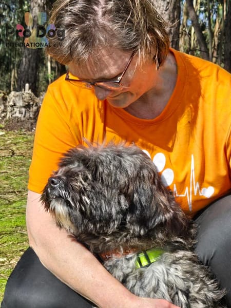 Jaime auf Pflegestelle