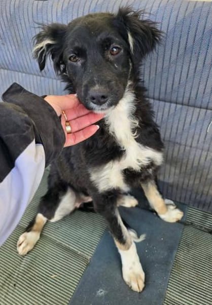 Carla- so zerbrechlich