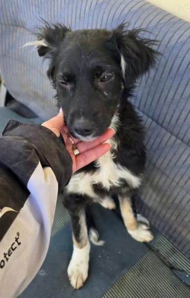 Carla- so zerbrechlich