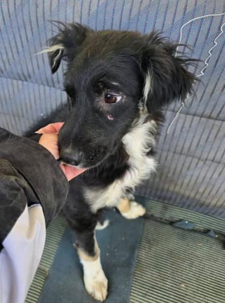 Carla- so zerbrechlich