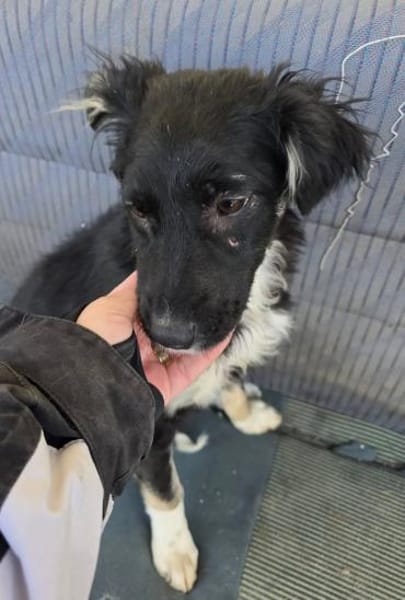 Carla- so zerbrechlich