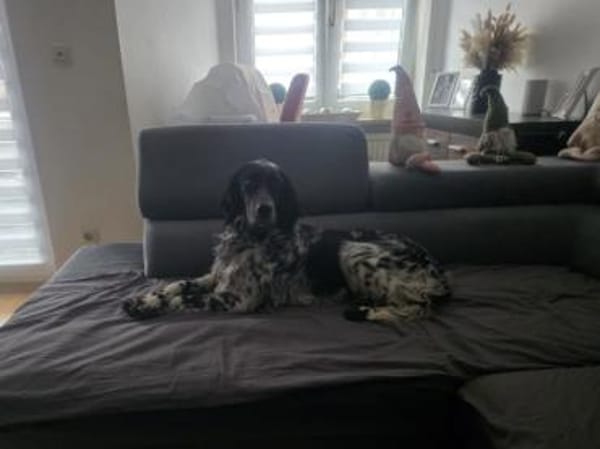 Brina sucht liebe Menschen