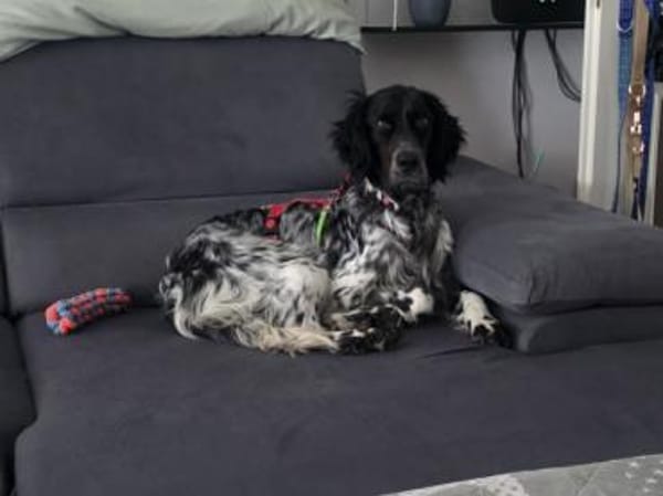 Brina sucht liebe Menschen