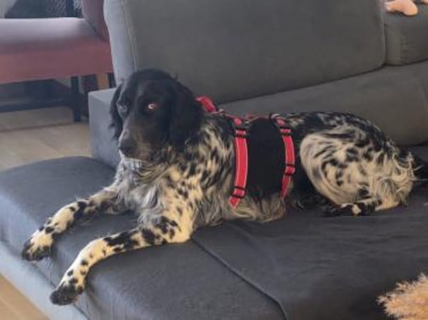 Brina sucht liebe Menschen