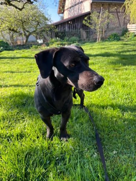 Georg freundlich und verschmust