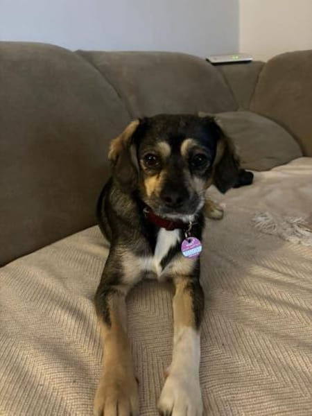 Bonny❤ sucht ihr Familie