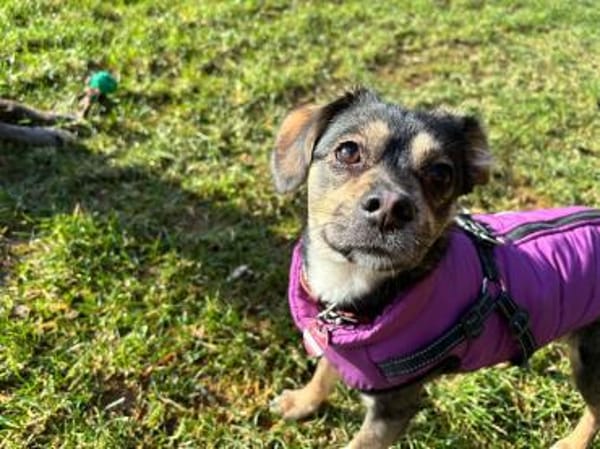 Bonny❤ sucht ihr Familie