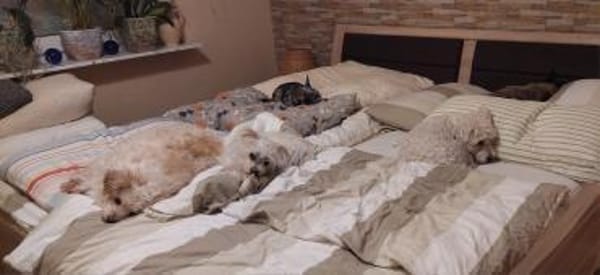 Drolliges Pärchen sucht Zuhause