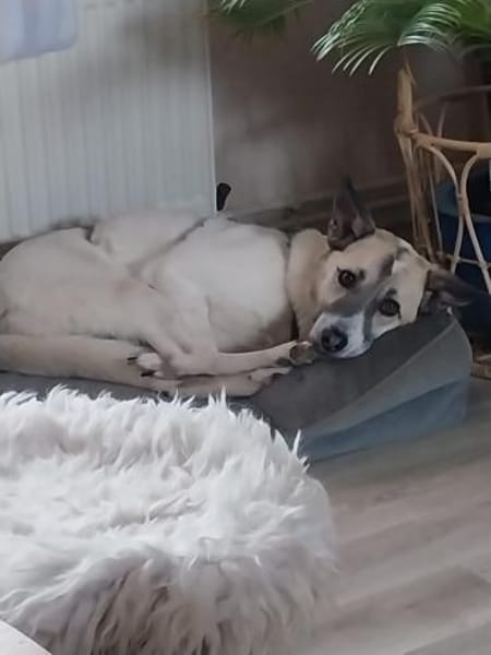 Hope - hat noch Hoffnung 🍀