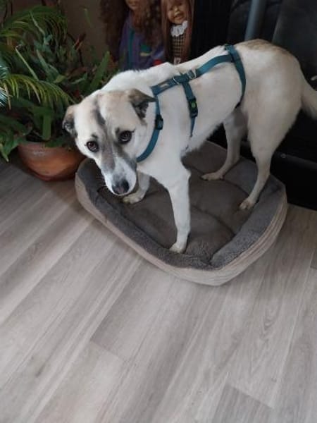 Hope - hat noch Hoffnung 🍀