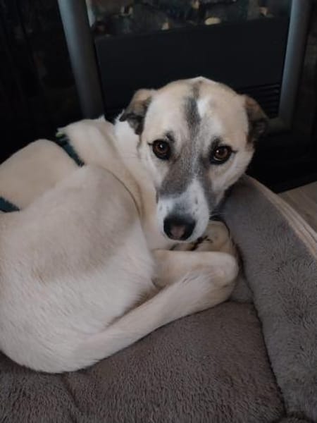 Hope - hat noch Hoffnung 🍀