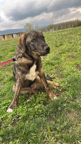 Monty ein ganz liebes Kerlchen