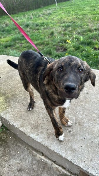 Monty ein ganz liebes Kerlchen