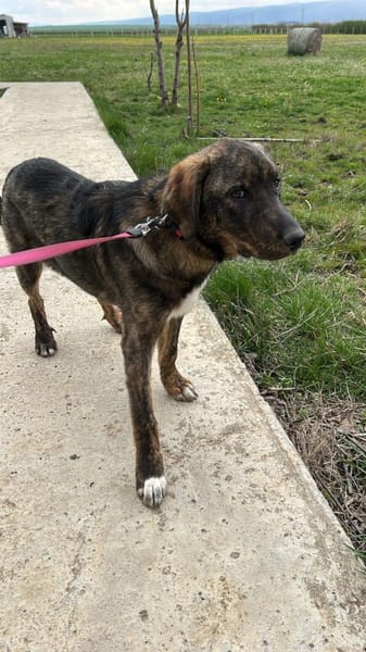 Monty ein ganz liebes Kerlchen