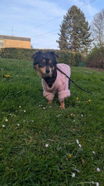 Sanfte Betty❤ sucht liebevolles Heim