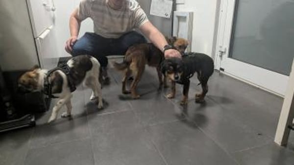 Sanfte Betty❤ sucht liebevolles Heim