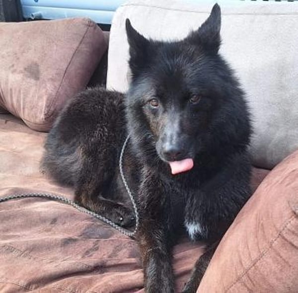 GARIK - hoffnungsvoll