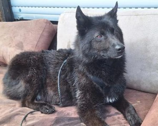 GARIK - hoffnungsvoll