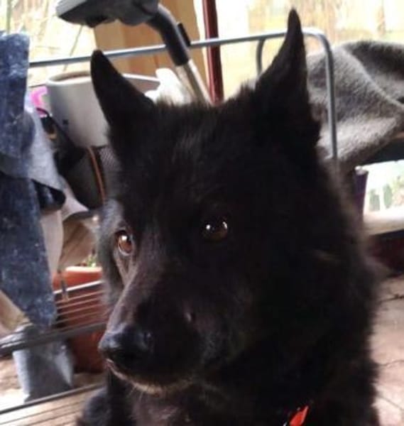 GARIK - hoffnungsvoll