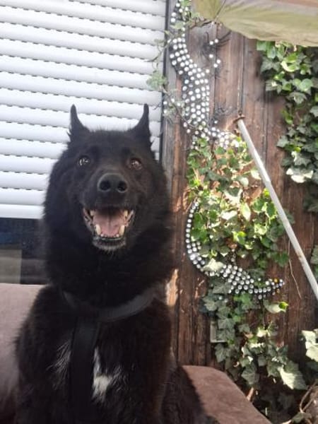 GARIK - hoffnungsvoll