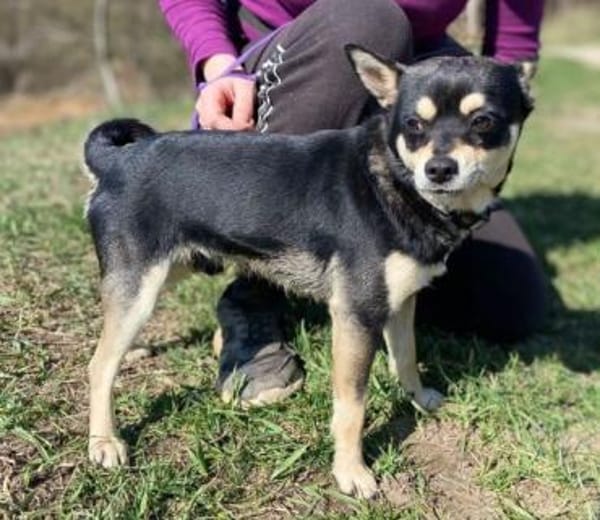 RICHIE ist ein ganz toller Junge