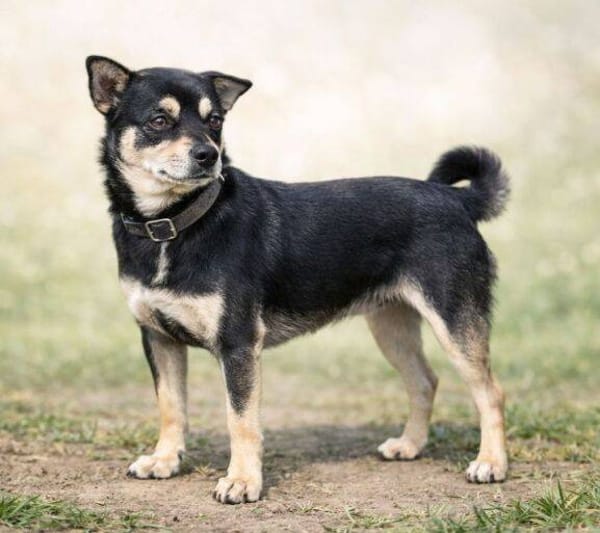 RICHIE ist ein ganz toller Junge