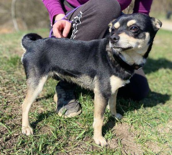 RICHIE ist ein ganz toller Junge