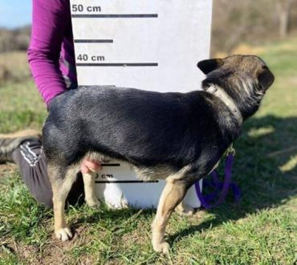 RICHIE ist ein ganz toller Junge